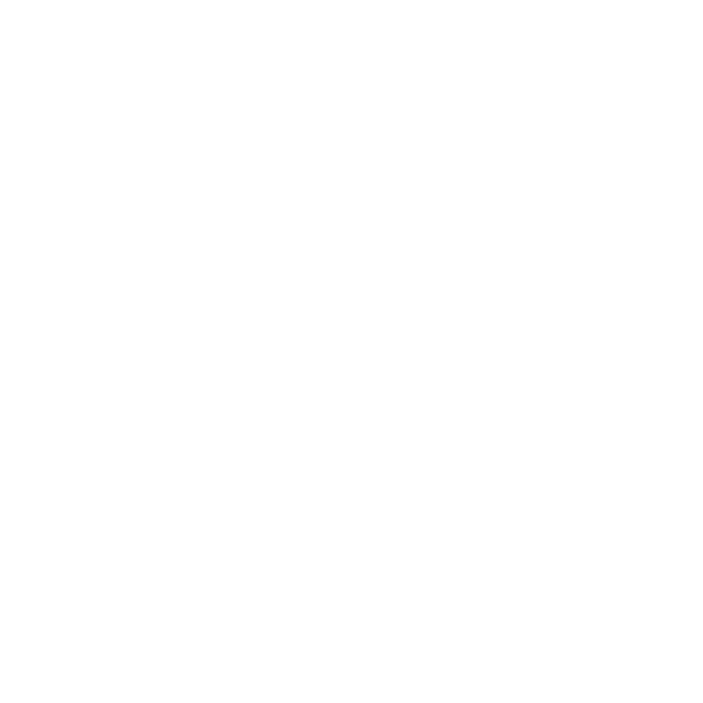 Boxschule Gebenstorf